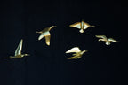 Set of 5 birds
