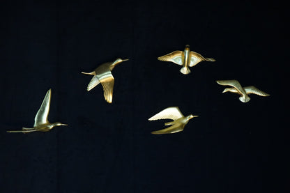 Set of 5 birds