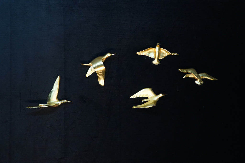Set of 5 birds