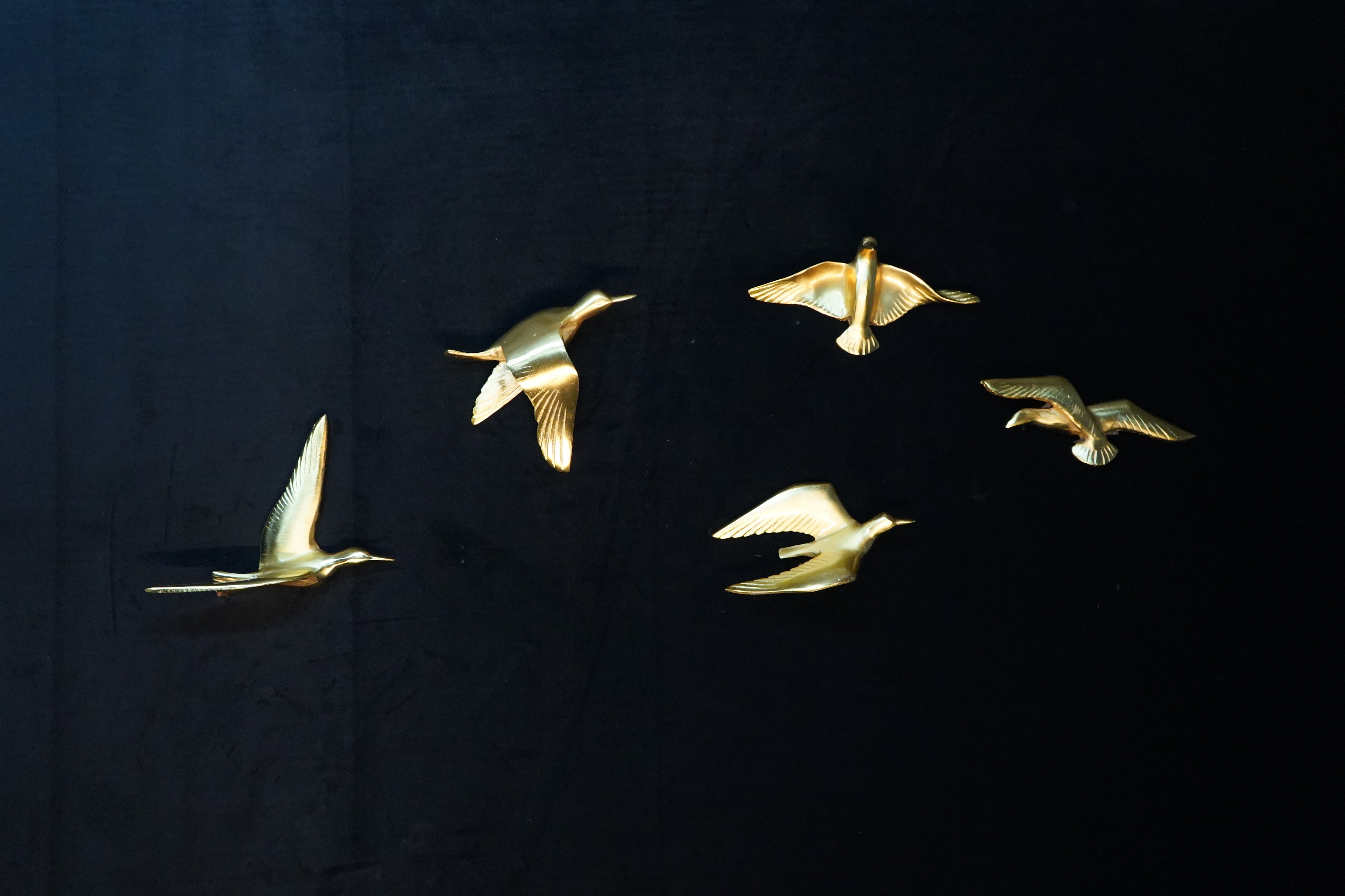 Set of 5 birds