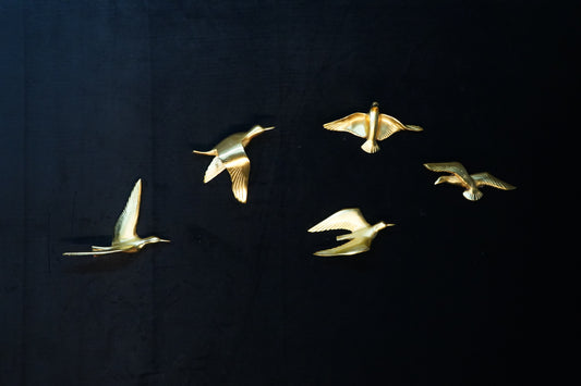 Set of 5 birds
