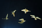 Set of 5 birds